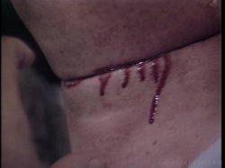 Captura de 'Hollywood Vice' nº 6
