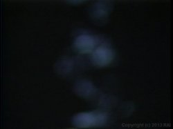 Captura de 'Hollywood Vice' nº 1