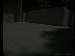 'Because I Can' screenshot nº 8