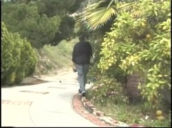 '2 On 2 #2' screenshot nº 97