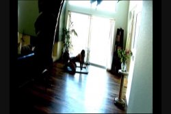 Captura de 'Anal Cavity Search 6' nº 84