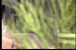 'Party House #13' screenshot nº 116
