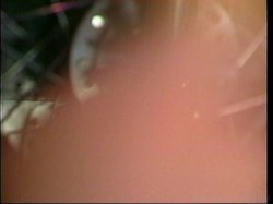 Captura de 'Gang Bang Fantasy, A: Bunny Bleu' nº 115