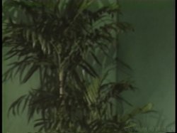 Captura de 'Depraved Innocent' nº 102