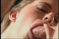 'Blowjob Fantasies #14' screenshot nº 70