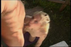 'Blowjob Fantasies #14' screenshot nº 138