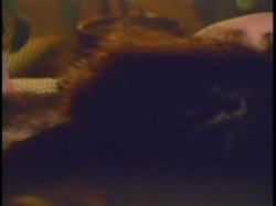 'China Lust' screenshot nº 23