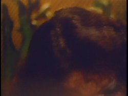 'China Lust' screenshot nº 24