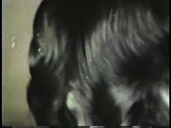Captura de 'All Lesbian Peepshow Loops 562: Hardcore Rated X 1970s (All Color)' nº 73