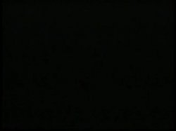 Captura de 'All Lesbian Peepshow Loops 562: Hardcore Rated X 1970s (All Color)' nº 13