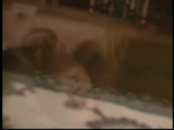 Captura de 'Lady Be Good' nº 17