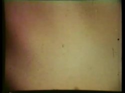 'All Lesbian PeepShow Loops 537: Hardcore Rated X '70s & '80s (All Color)' screenshot nº 138