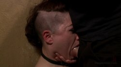 'Ingrid Likes It Rough' screenshot nº 32