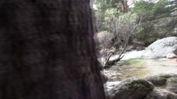 Captura de 'Day At La Pedriza With Aris Dark, A' nº 100