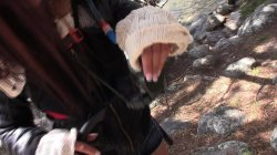 Captura de 'Day At La Pedriza With Aris Dark, A' nº 34