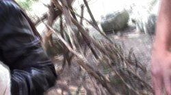 Captura de 'Day At La Pedriza With Aris Dark, A' nº 48