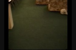 'Secs Dreams' screenshot nº 33
