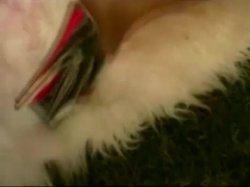 'Adriane Gold's ASSylum' screenshot nº 86