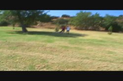 'MILFS In Heat' screenshot nº 4