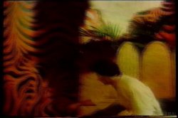 Captura de 'Kay Parker Critics Choice' nº 44