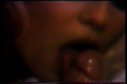 Captura de 'Kay Parker Critics Choice' nº 80