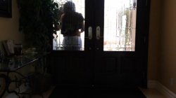 'Lesbian Sitters' screenshot nº 44