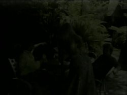 'Ecstasy Girls Raw & Uncensored 2' screenshot nº 42