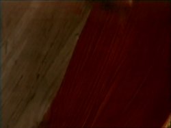 'Ecstasy Girls Raw & Uncensored 2' screenshot nº 69