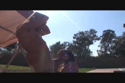 Captura de 'Blow Job University 7' nº 14