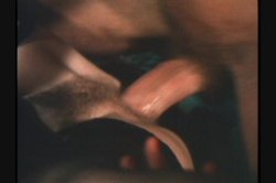 Captura de 'Little French Maid' nº 54