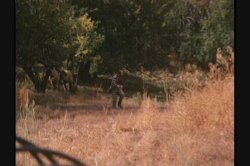 Captura de 'Dirty Western' nº 37