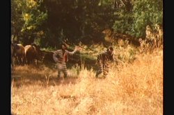 Captura de 'Dirty Western' nº 48