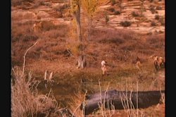 Captura de 'Dirty Western' nº 90