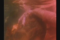 Captura de 'Dirty Western' nº 96