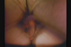 Captura de 'Dirty Western' nº 111