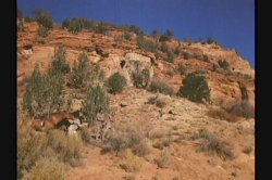 Captura de 'Dirty Western' nº 29