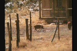 Captura de 'Dirty Western' nº 32