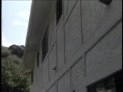 Captura de 'Oh My Gush 5' nº 43