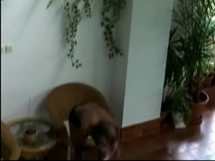 Scene 4