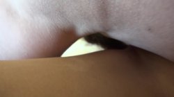 Captura de 'Threesome Creampie Fantasies' nº 97