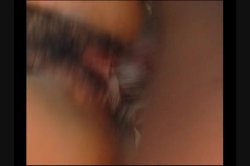 'Beautiful Hairy Pussy's' screenshot nº 13