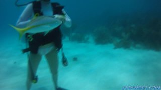 Underwater Scuba Jerk Job starring Jodi West. | PornStarEmpire