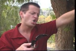 Captura de 'Desperately Horny Housewives' nº 36