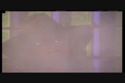 Captura de 'Lap Dance Fantasies' nº 19