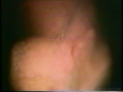 Captura de 'Best of Annette Haven' nº 98