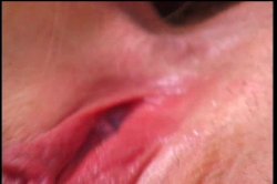 'Pussyman's Hollywood Harlots' screenshot nº 56