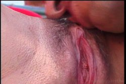 'Pussyman's Hollywood Harlots' screenshot nº 25