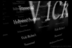 Captura de 'Transsexual Hollywood Prostitutes' nº 1