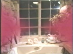 Captura de 'Lesbian Bra Busters: Christy Canyon' nº 48