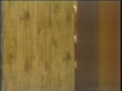 Captura de 'Christy Canyon - DDD Teenager' nº 1